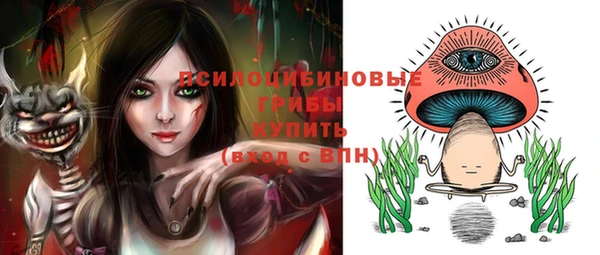 прущие грибы Алексеевка