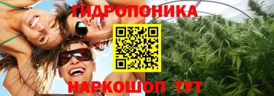 прущие грибы Заволжье