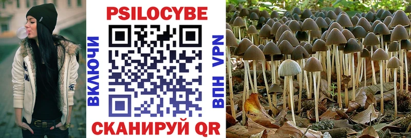kraken онион  Нижнеудинск  Псилоцибиновые грибы Psilocybe 