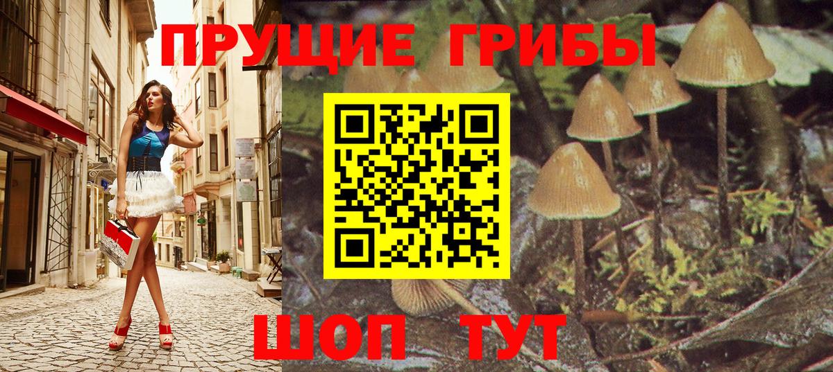 Галлюциногенные грибы Psilocybine cubensis Нижнеудинск